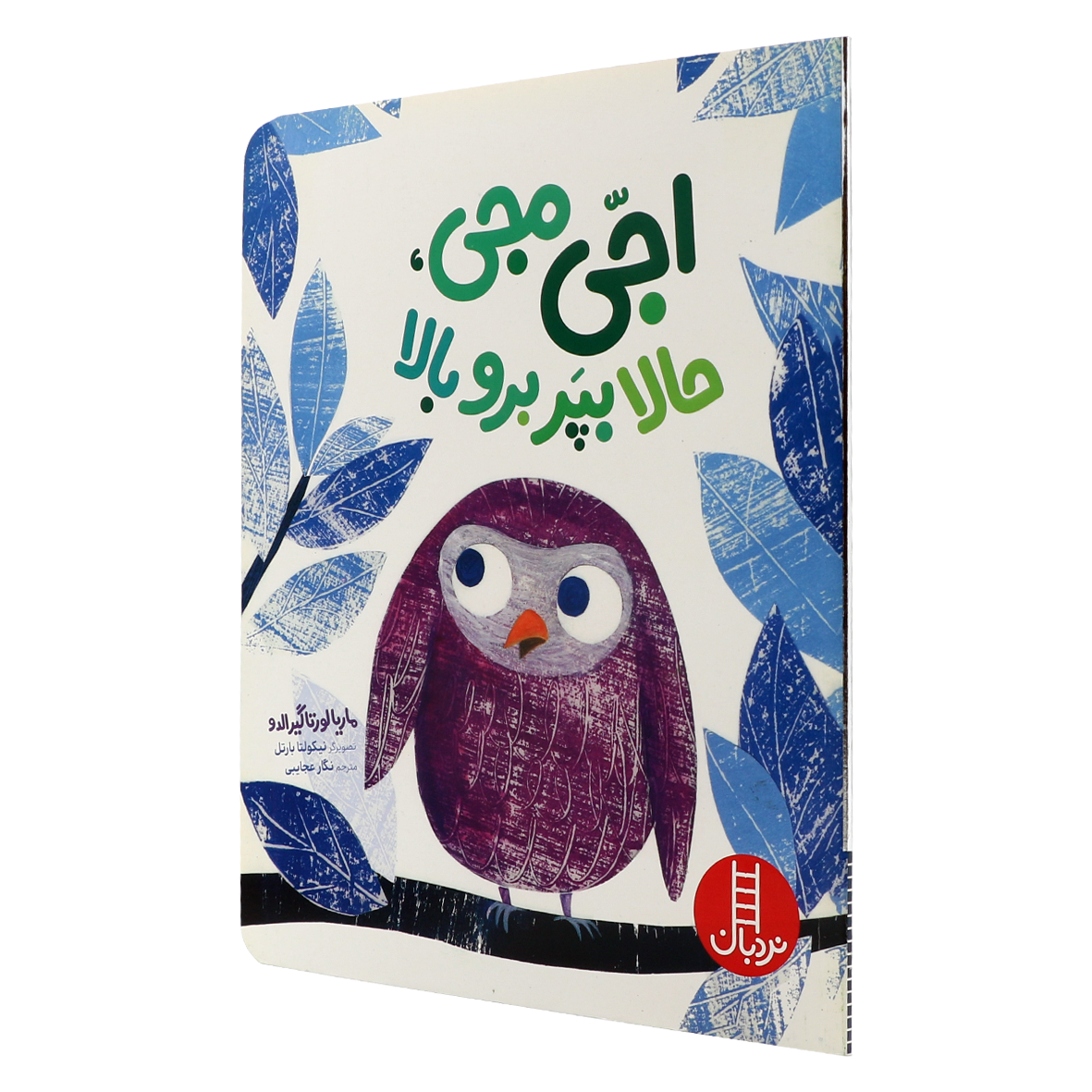 کتاب اجی مجی،حالا بپر برو بالا