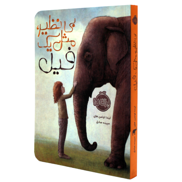 عکس جلد کتاب بی نظیر مثل یک فیل