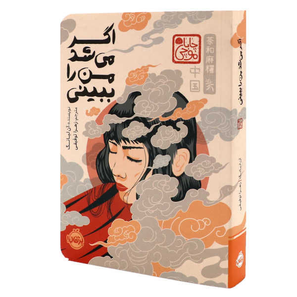 کتاب اگر می‌ شد من را ببینی