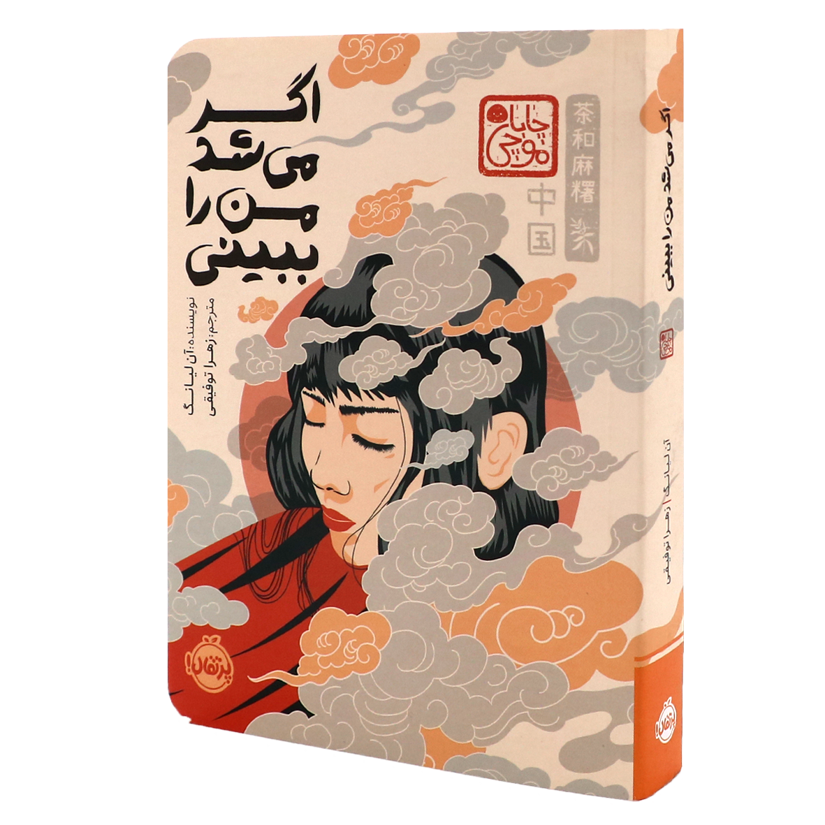 کتاب اگر می شد من را ببینی